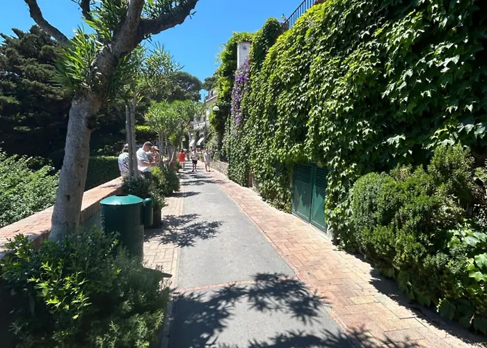 Center Augusto Park Apartment Capri