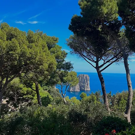 Apartment Center Augusto Park Capri