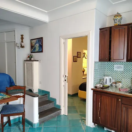 Center Augusto Park *