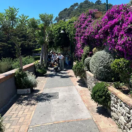 Center Augusto Park Capri