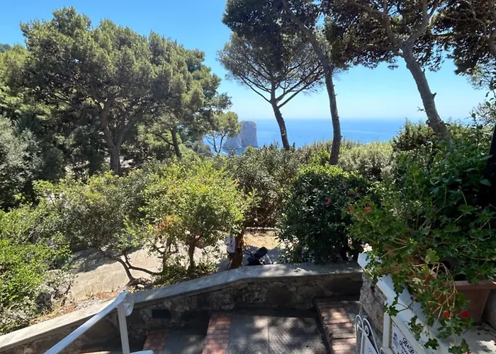 Center Augusto Park *