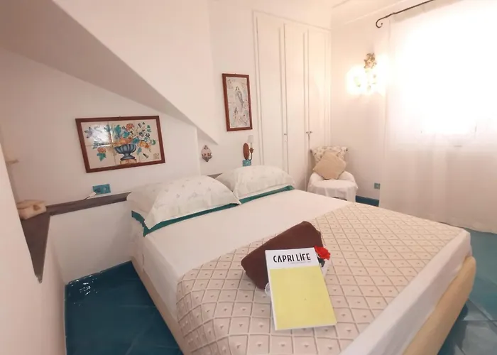 Center Augusto Park *