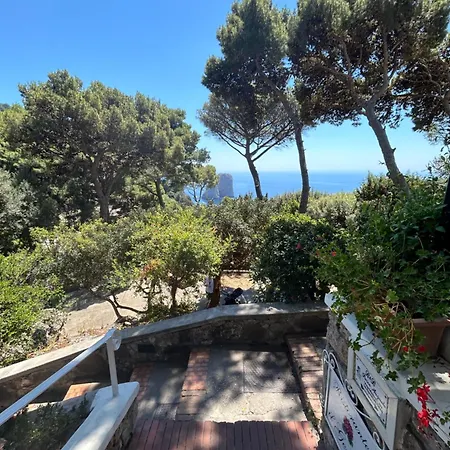 Center Augusto Park *