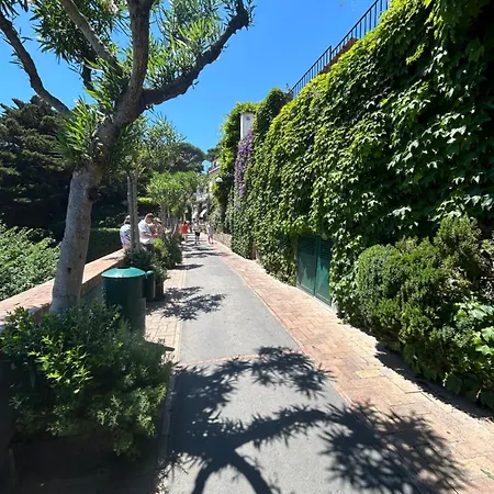 Center Augusto Park Apartment Capri