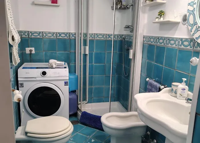 Center Augusto Park *